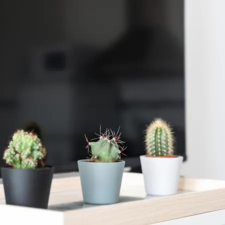 Апартаменты Ct 301 - Faro's Centro Фуэнхирола