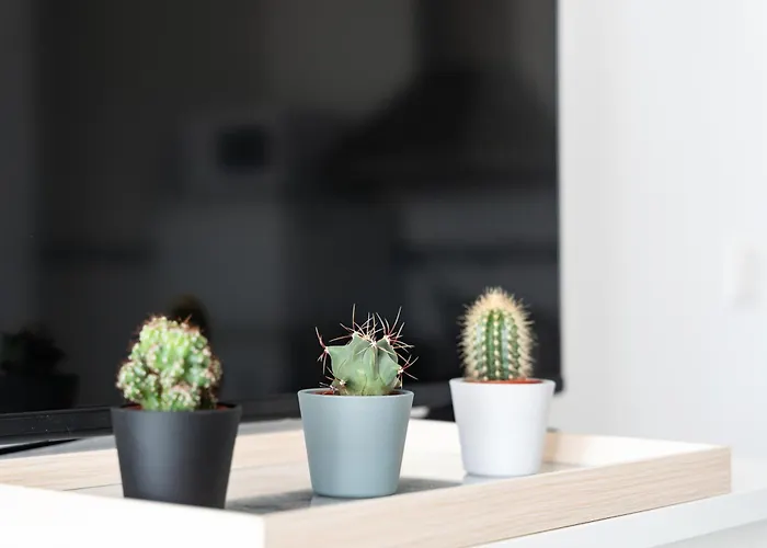 アパート Ct 301 - Faro's Centro フエンヒロラ